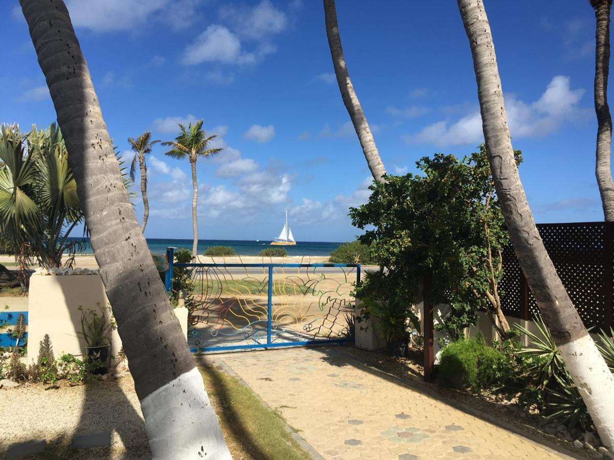 פאלם ביץ' Aruba Sunset Beach Studios מראה חיצוני תמונה