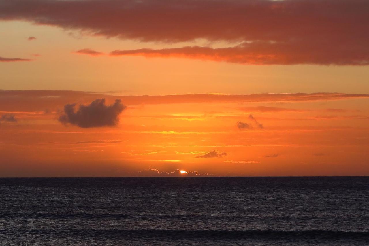פאלם ביץ' Aruba Sunset Beach Studios מראה חיצוני תמונה