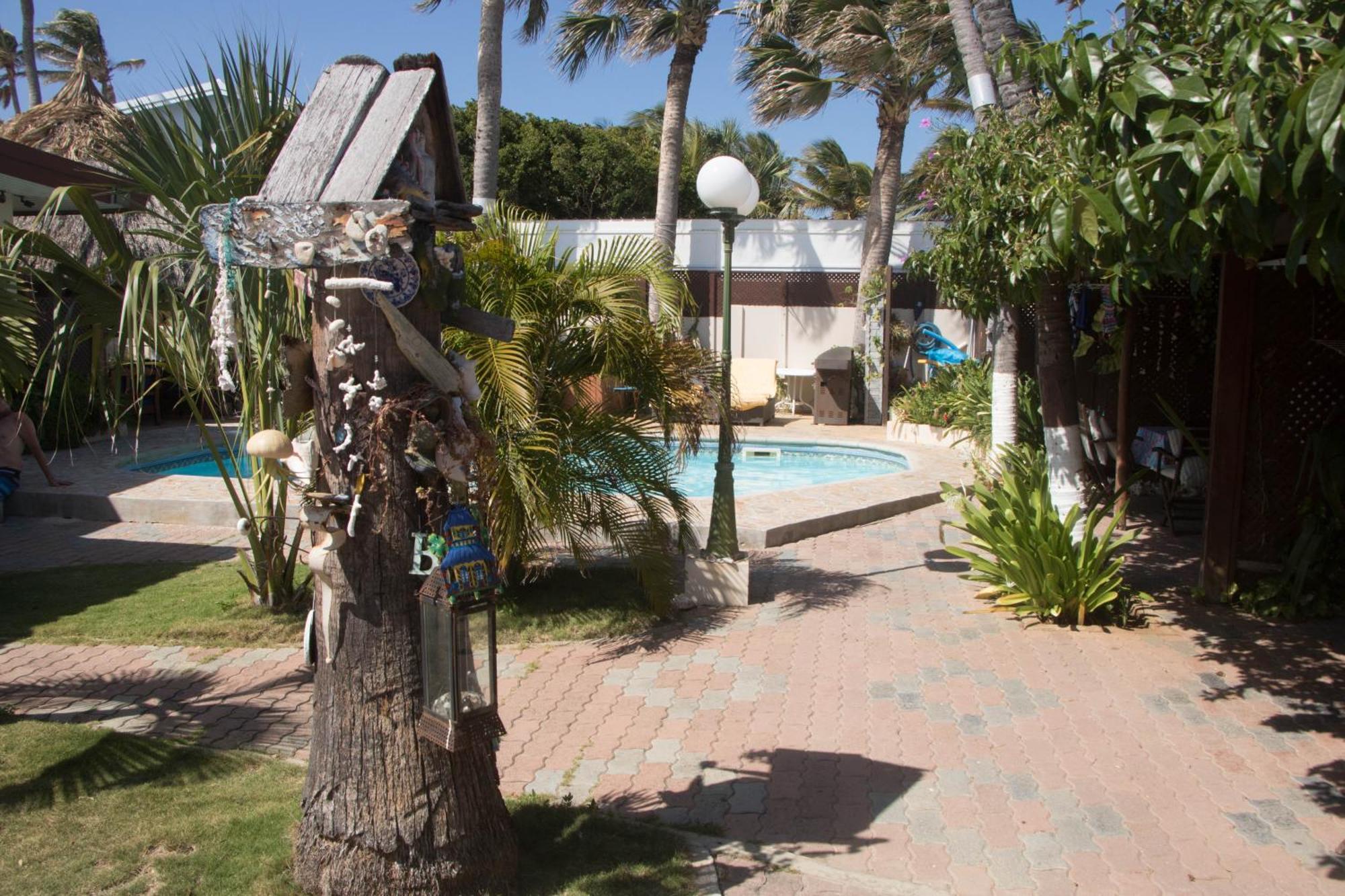 פאלם ביץ' Aruba Sunset Beach Studios מראה חיצוני תמונה